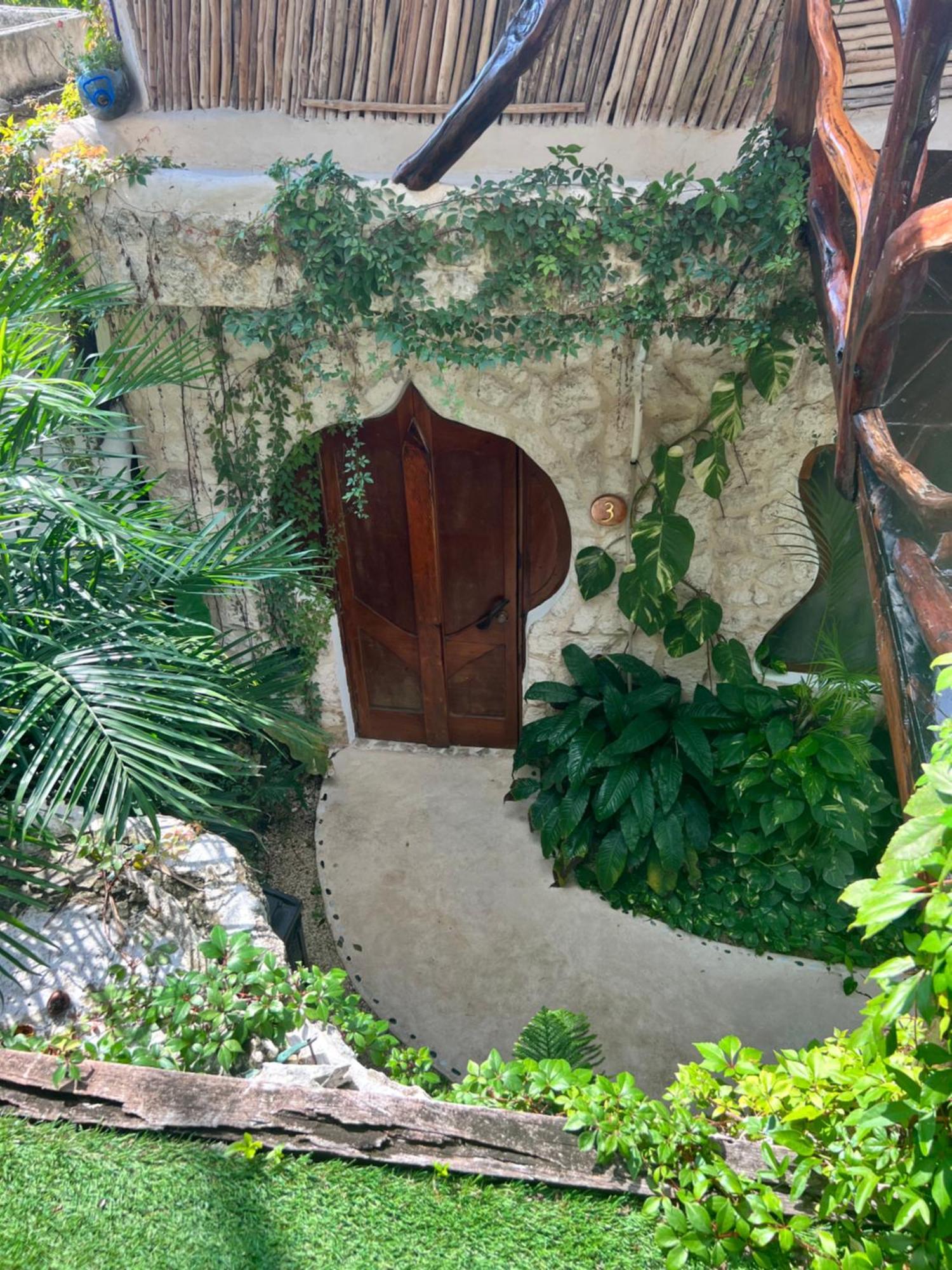 La Quinta Orquidea Bed & Breakfast Puerto Morelos Ngoại thất bức ảnh